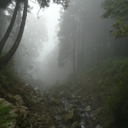 2010-10 China/Taiwan/2010:10:08-10:00:29_P1010882.JPG